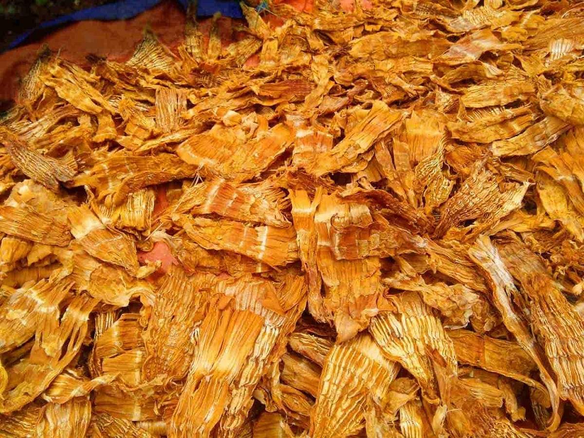 Hoa Sen