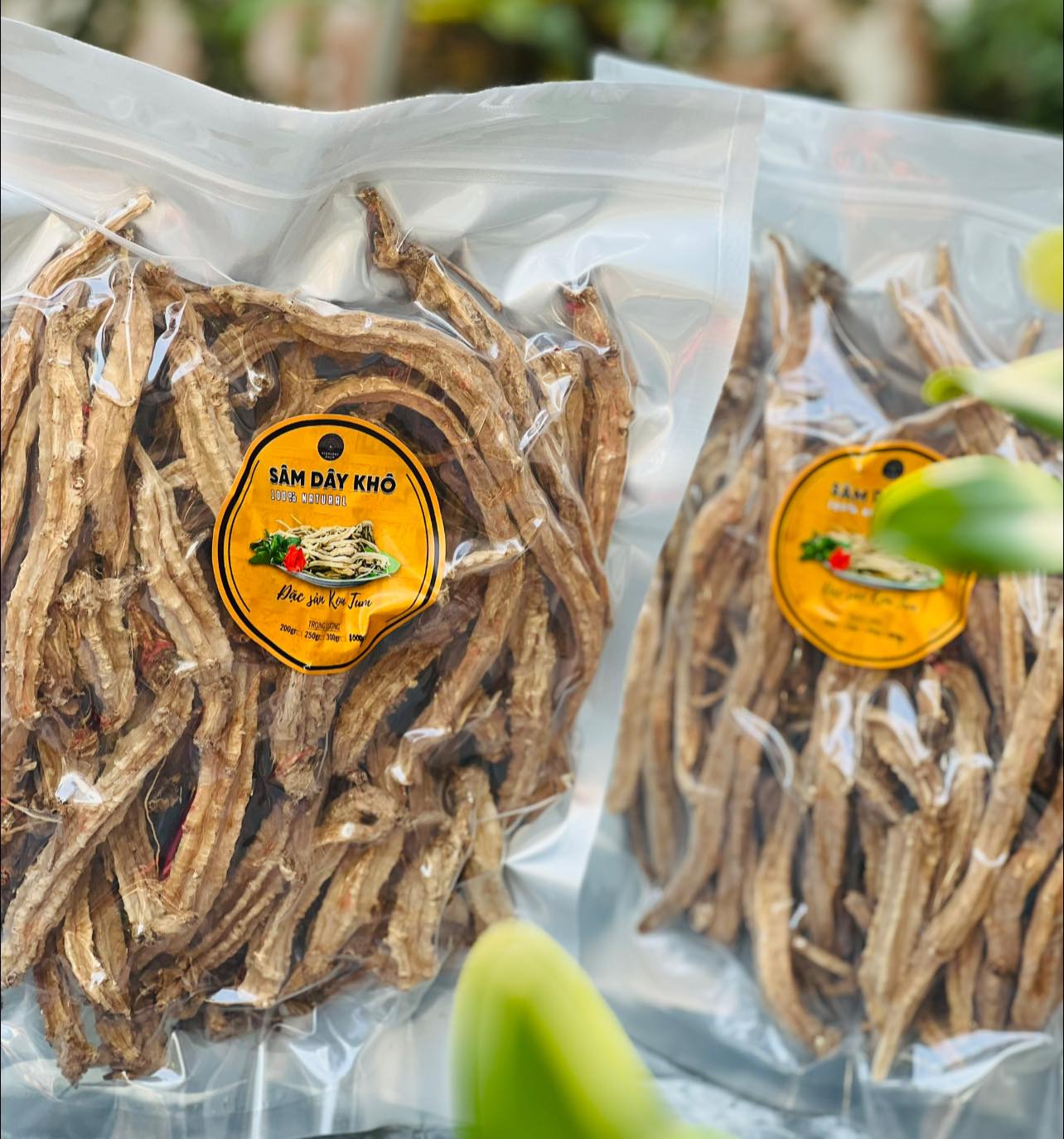 SÂM DÂY NGỌC LINH KHÔ KON TUM